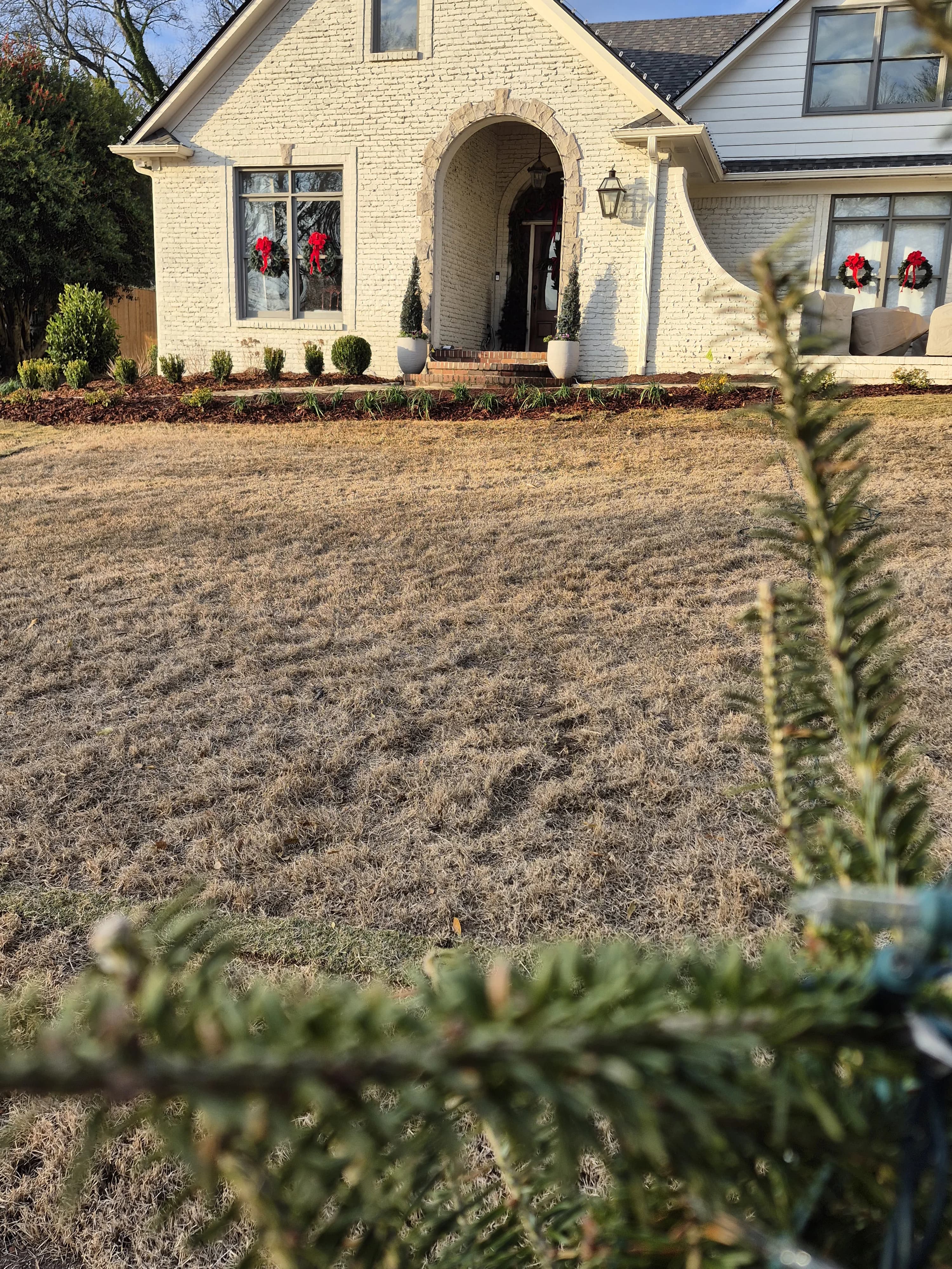 Professional landscaping work