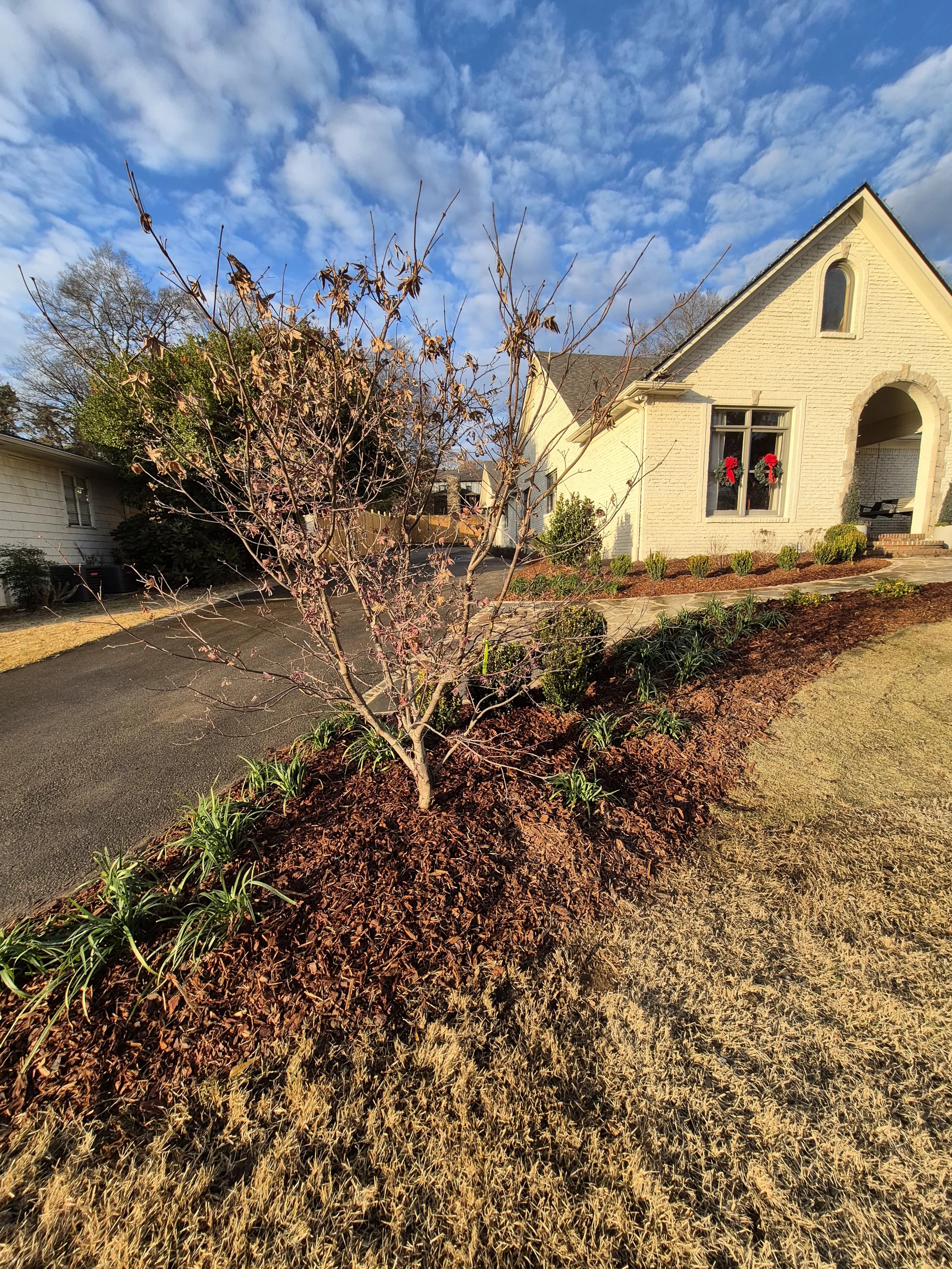 Landscaping project 3