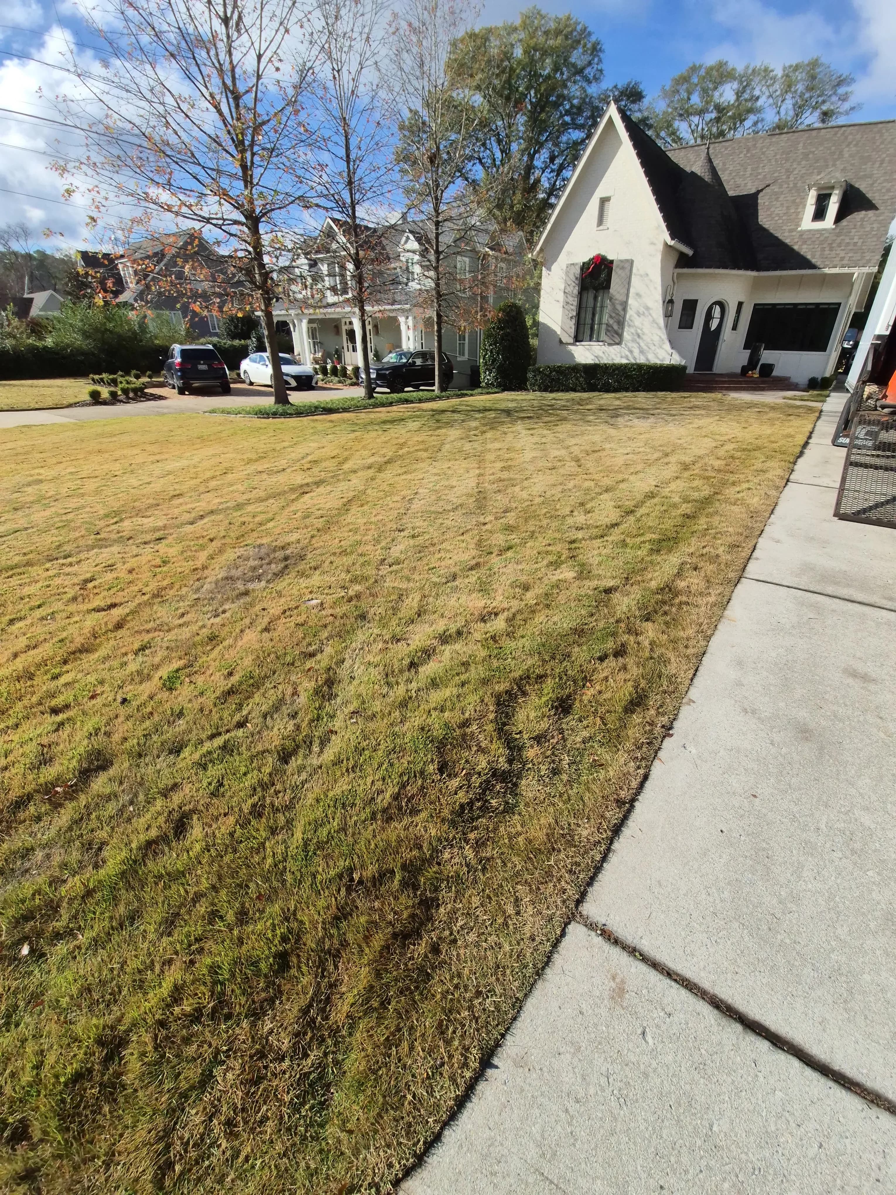 Landscaping project 6