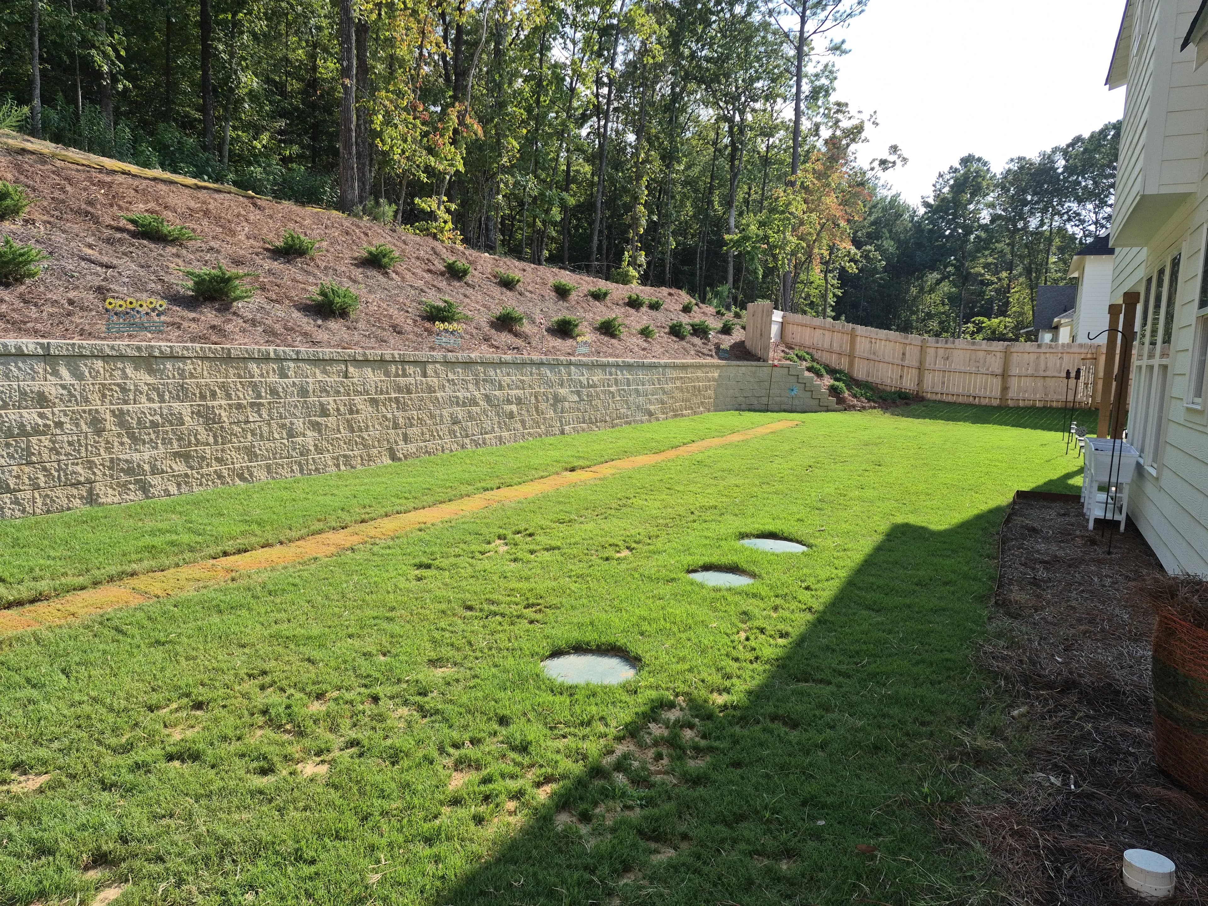 Landscaping project 5